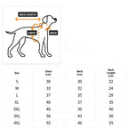 My 1st Christmas Dog Hoodie