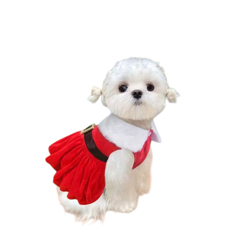 Christmas Dog Outfit
