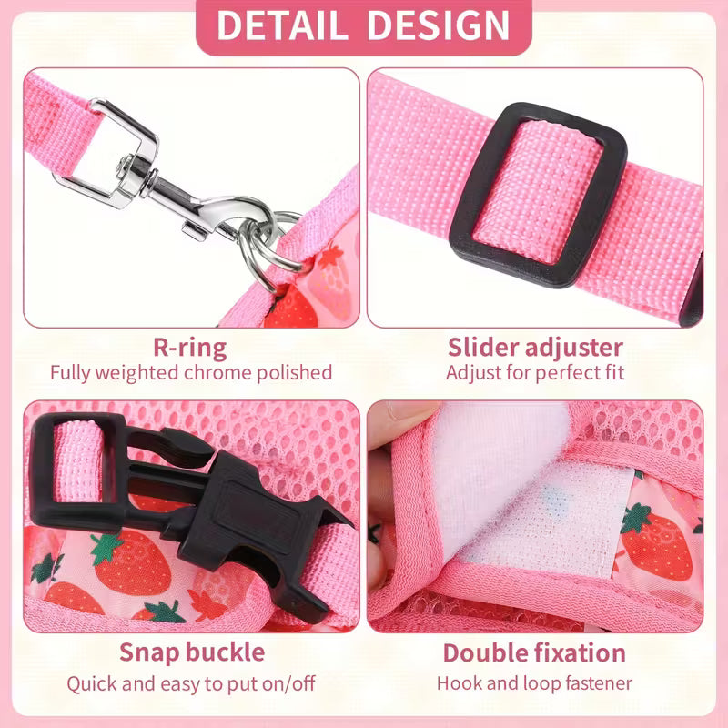 Cat Harness and Leash