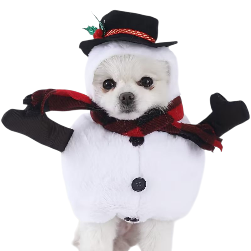 Snowman Outfit