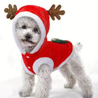 Festive Pet Costume