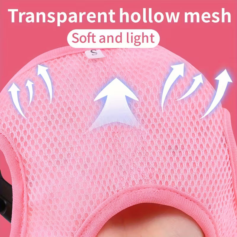 Cat Harness and Leash