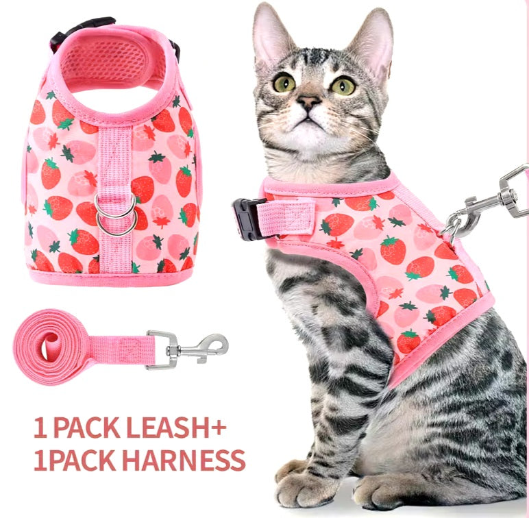 Cat Harness and Leash