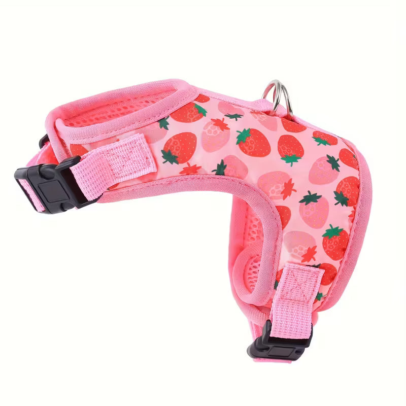 Cat Harness and Leash