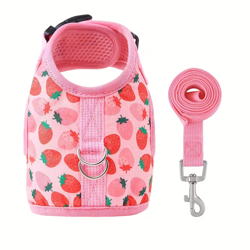 Cat Harness and Leash