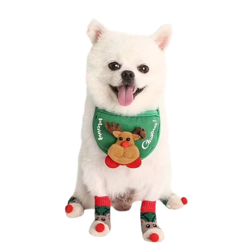 Christmas Pet Socks